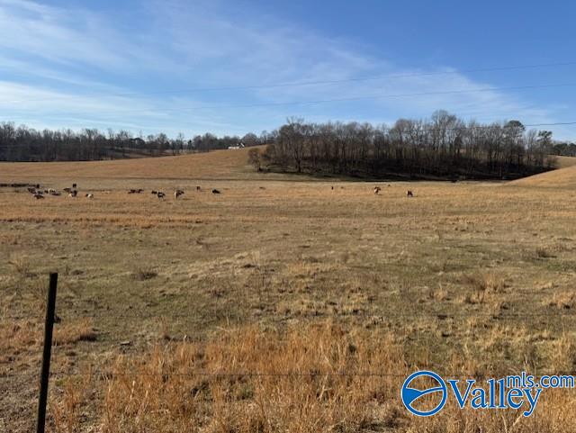 77 + Or - Kimbrell Road, Athens, Alabama image 1