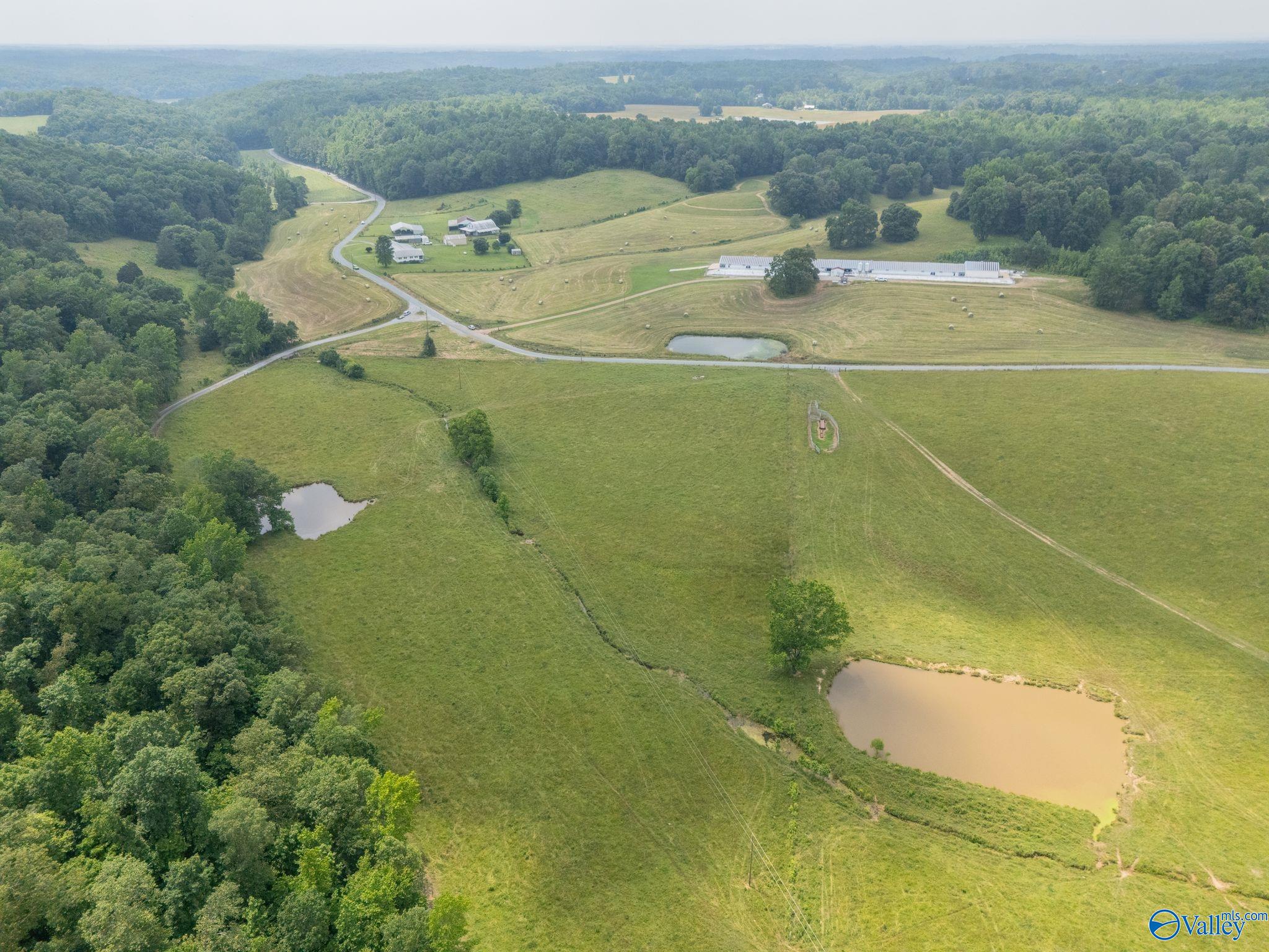 77 + Or - Kimbrell Road, Athens, Alabama image 5