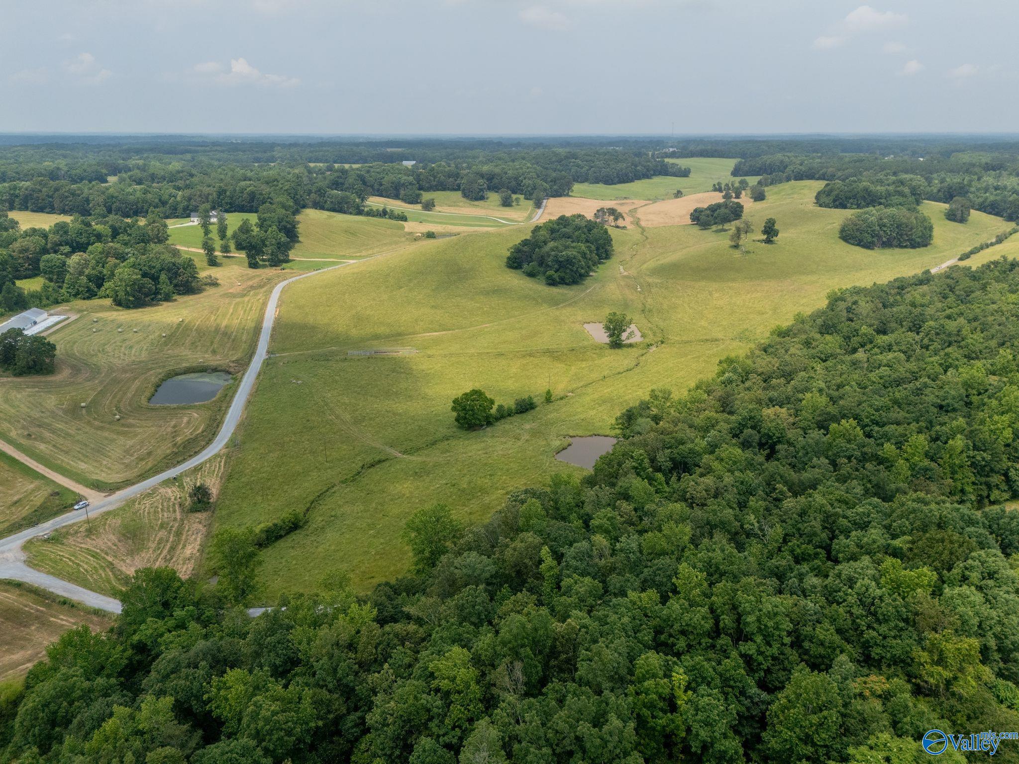 77 + Or - Kimbrell Road, Athens, Alabama image 2