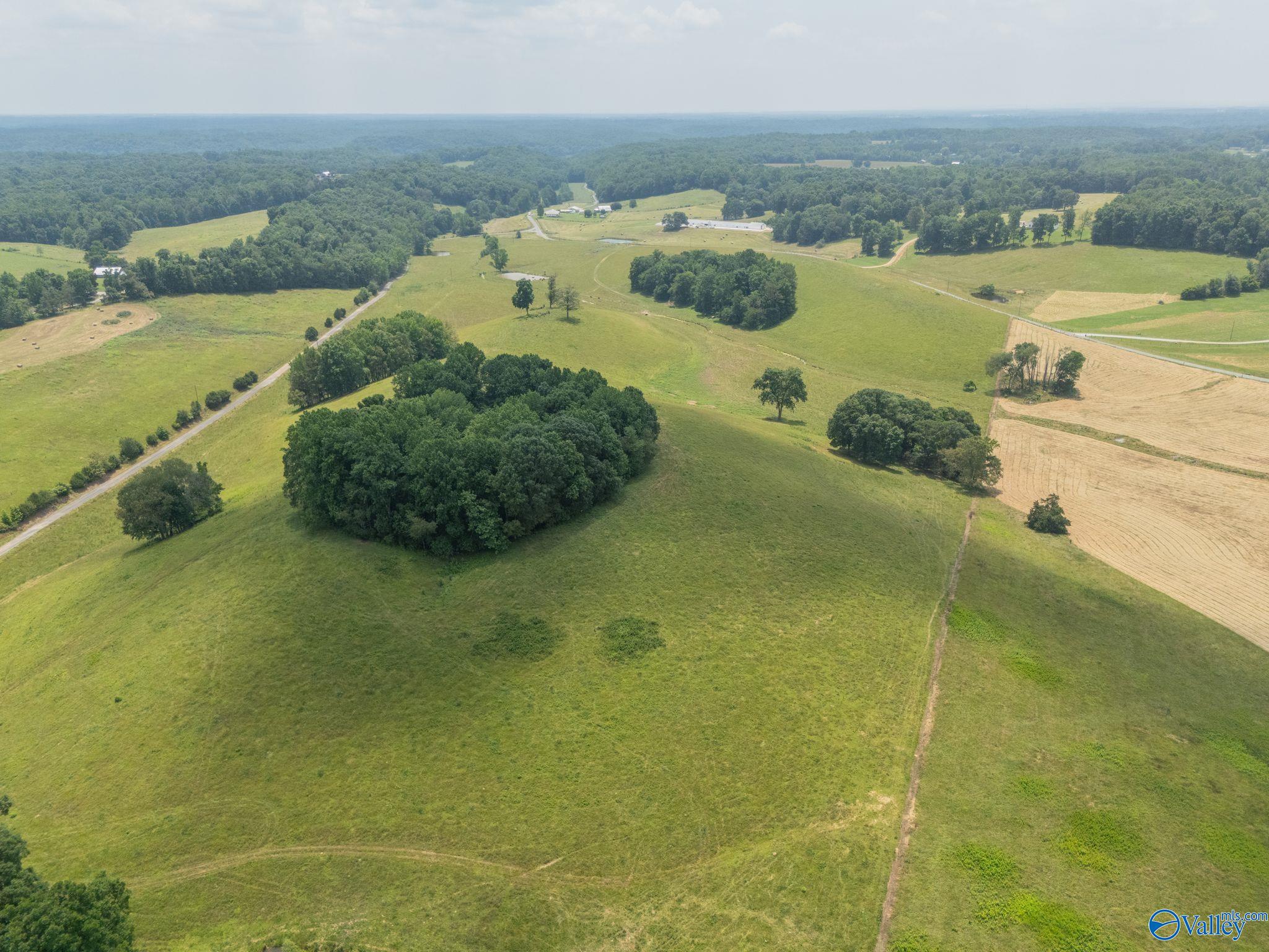 77 + Or - Kimbrell Road, Athens, Alabama image 12