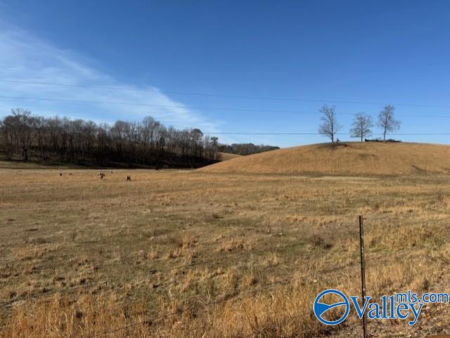 77 + Or - Kimbrell Road, Athens, Alabama image 2