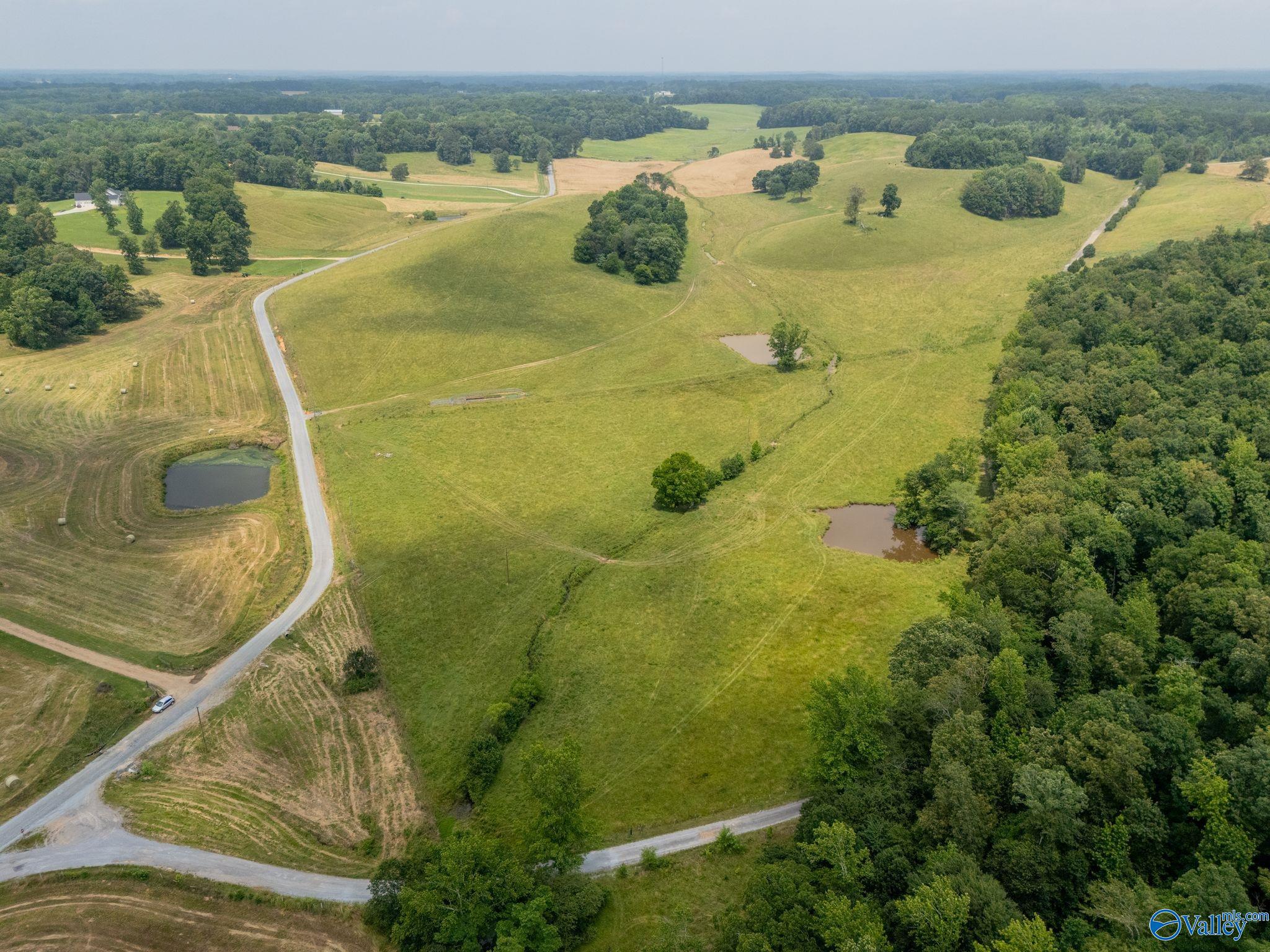 77 + Or - Kimbrell Road, Athens, Alabama image 1