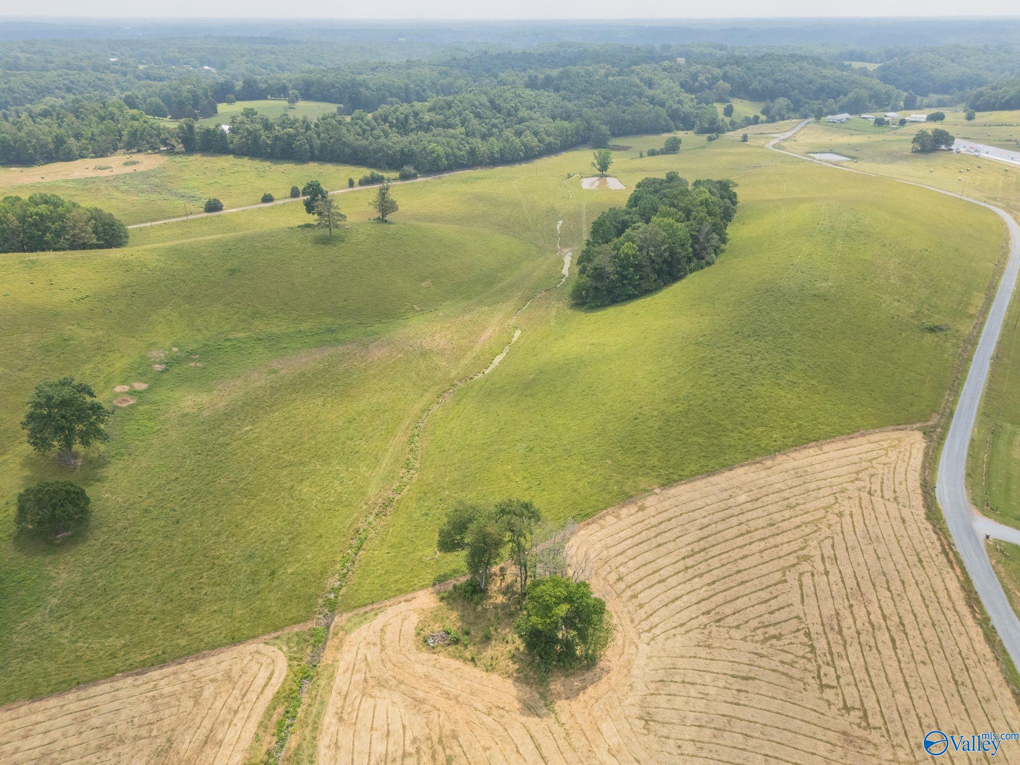 77 + Or - Kimbrell Road, Athens, Alabama image 9