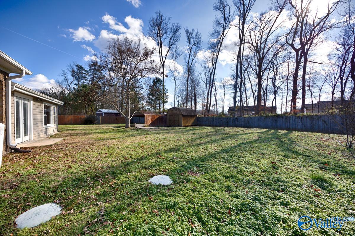 119 Southern Pine Drive, Toney, Alabama image 36