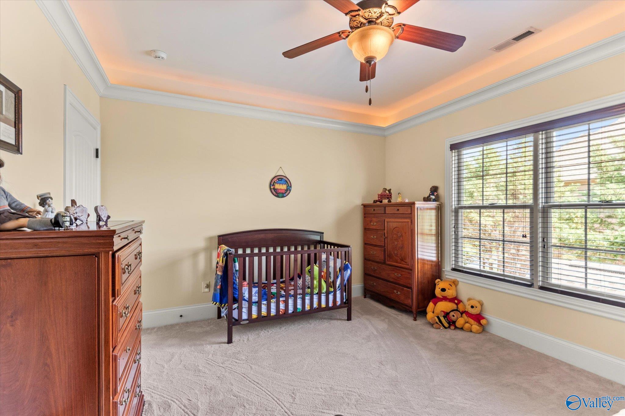 24051 Piney Creek Drive, Athens, Alabama image 19