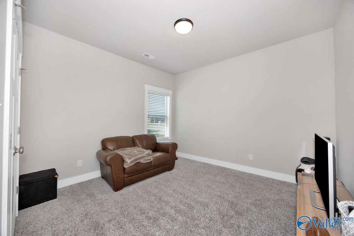 125 Rio Grande Way, Madison, Alabama image 33