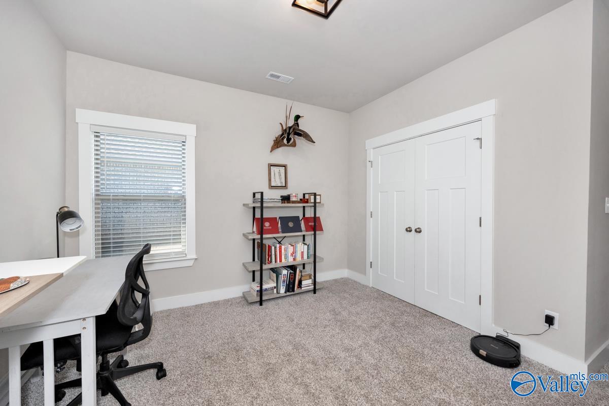 125 Rio Grande Way, Madison, Alabama image 36
