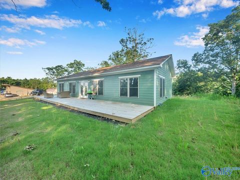 Photo of 334 Camp Ney A Ti Road, Guntersville, AL 35976 (MLS # 21906206)