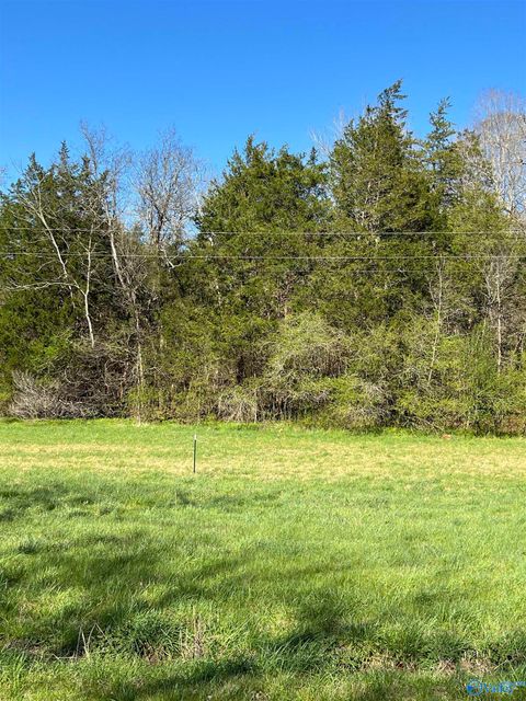 Vacant Land For Sale - TRACT 2 Spring Valley Road<br/> Taft, TN 38488