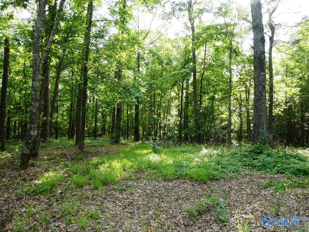 lOT 50 Harbor Loop