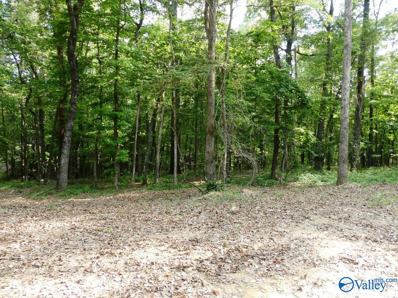 lOT 50 Harbor Loop