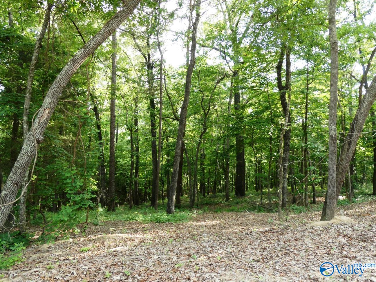 lOT 50 Harbor Loop