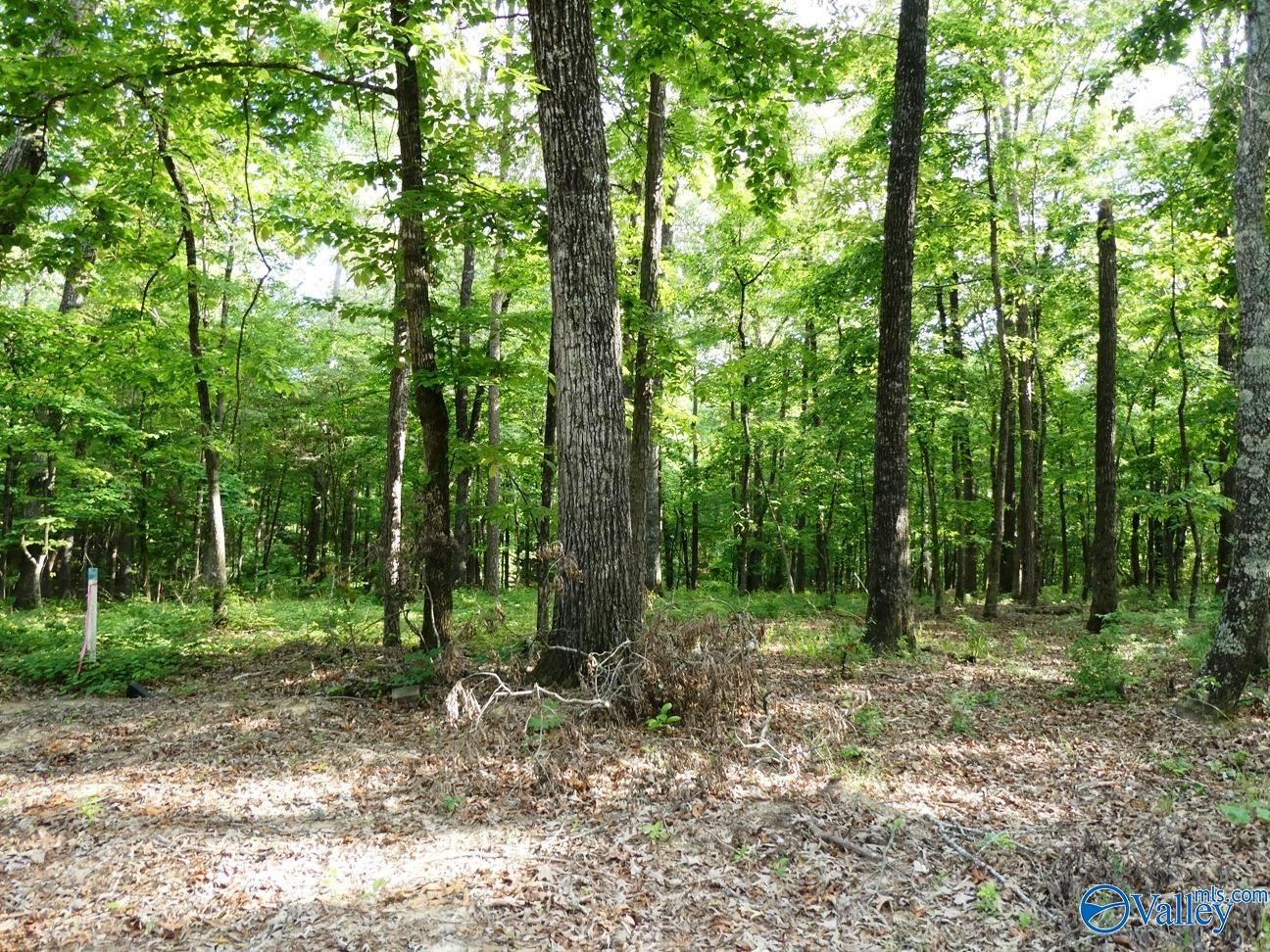lOT 50 Harbor Loop