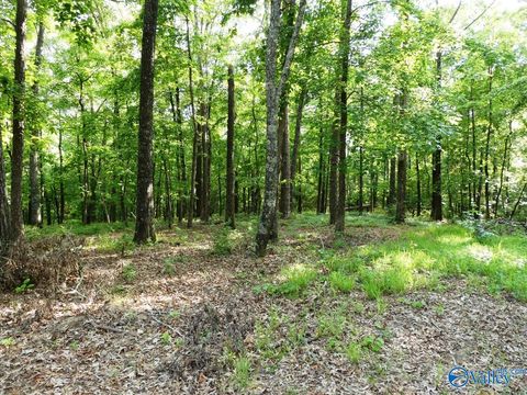 Vacant Land For Sale - LOT 50 Harbor Loop<br/> Jasper, AL 35504