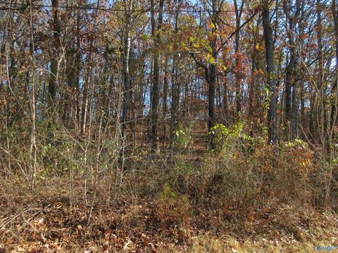 Vacant Land For Sale - 27 Sumner Drive<br/> Jackson County, Scottsboro, AL 35769
