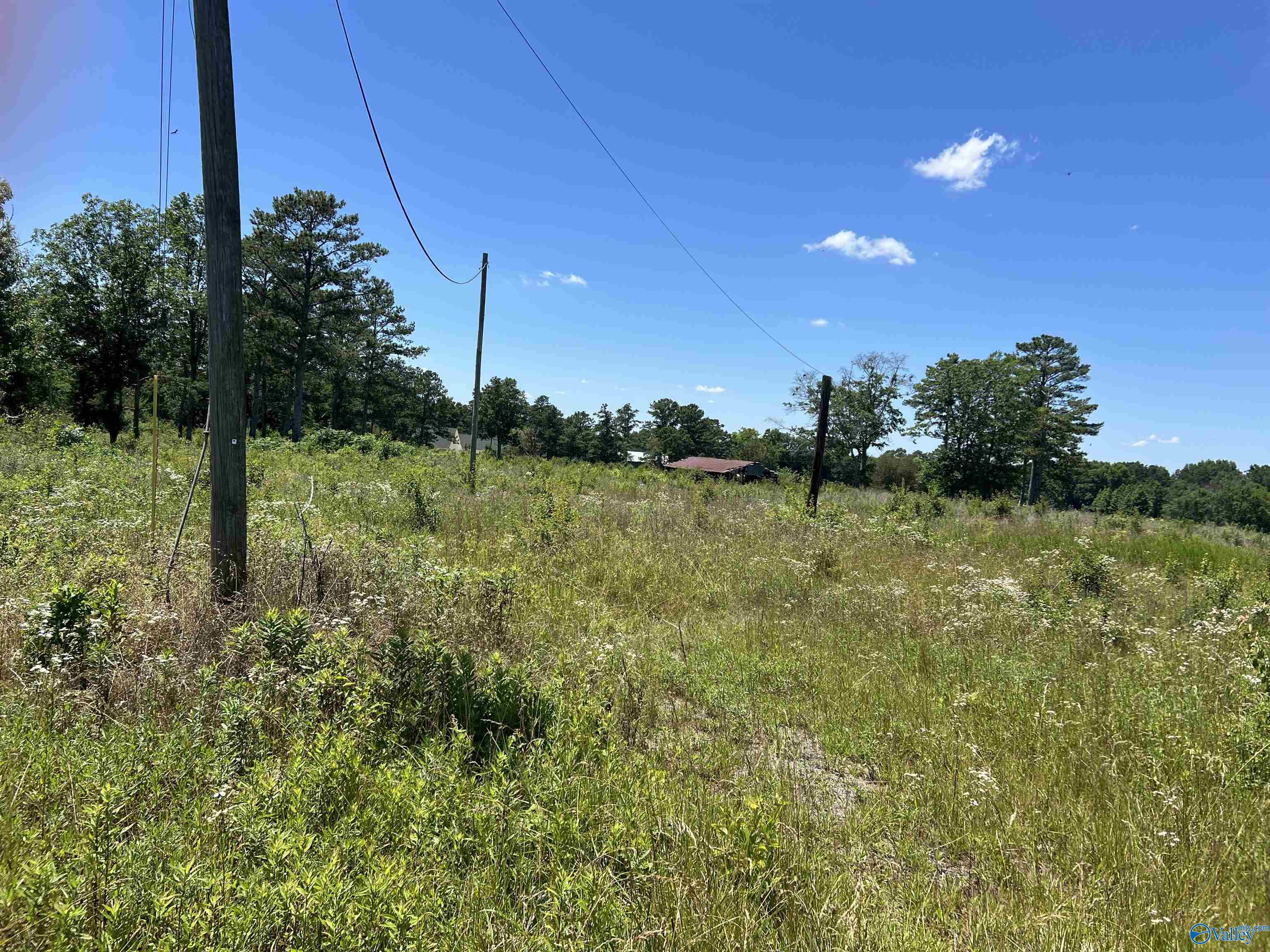 Lot 1 Wrenn Road, Boaz, Alabama image 1