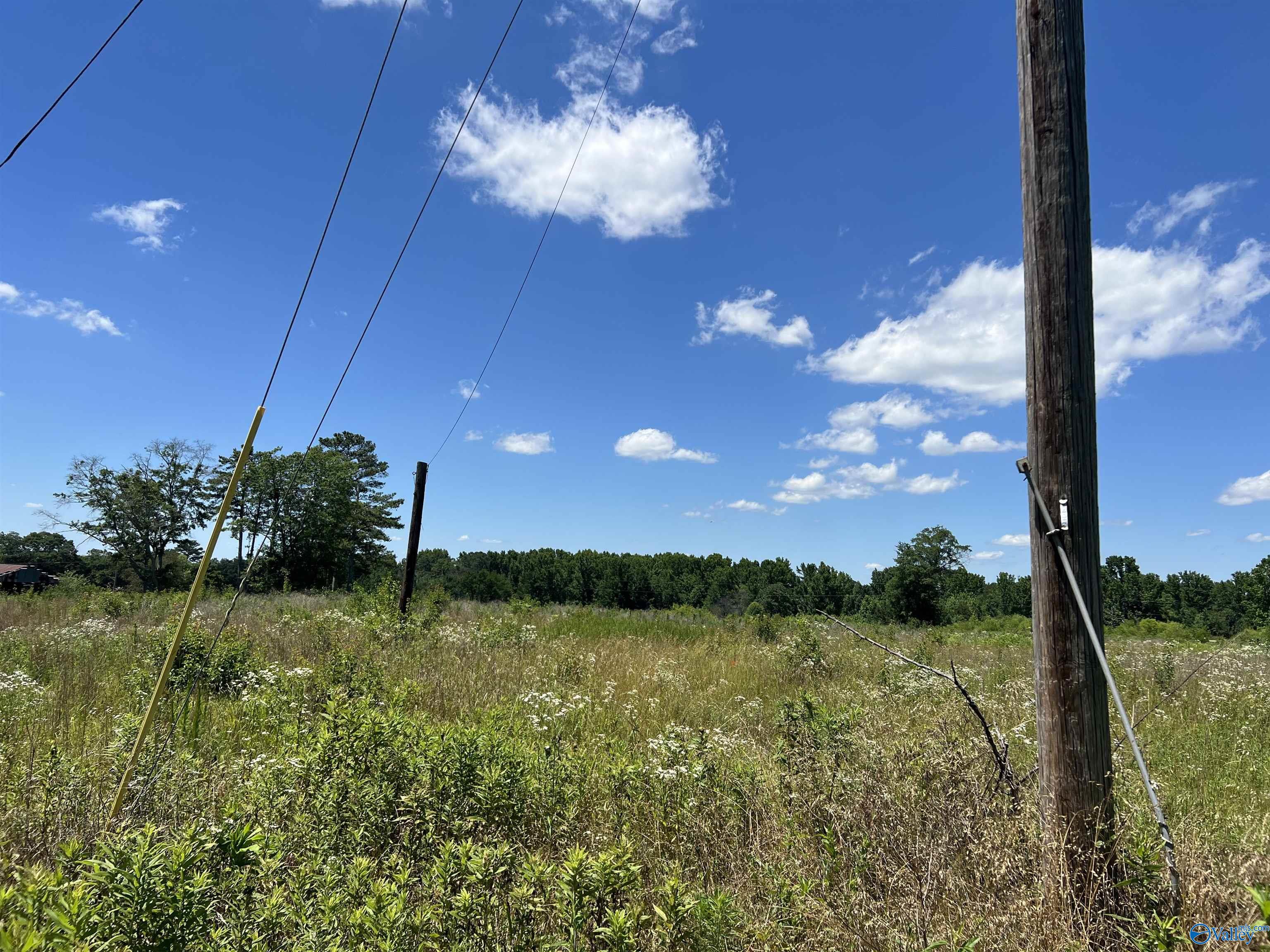 Lot 1 Wrenn Road, Boaz, Alabama image 2