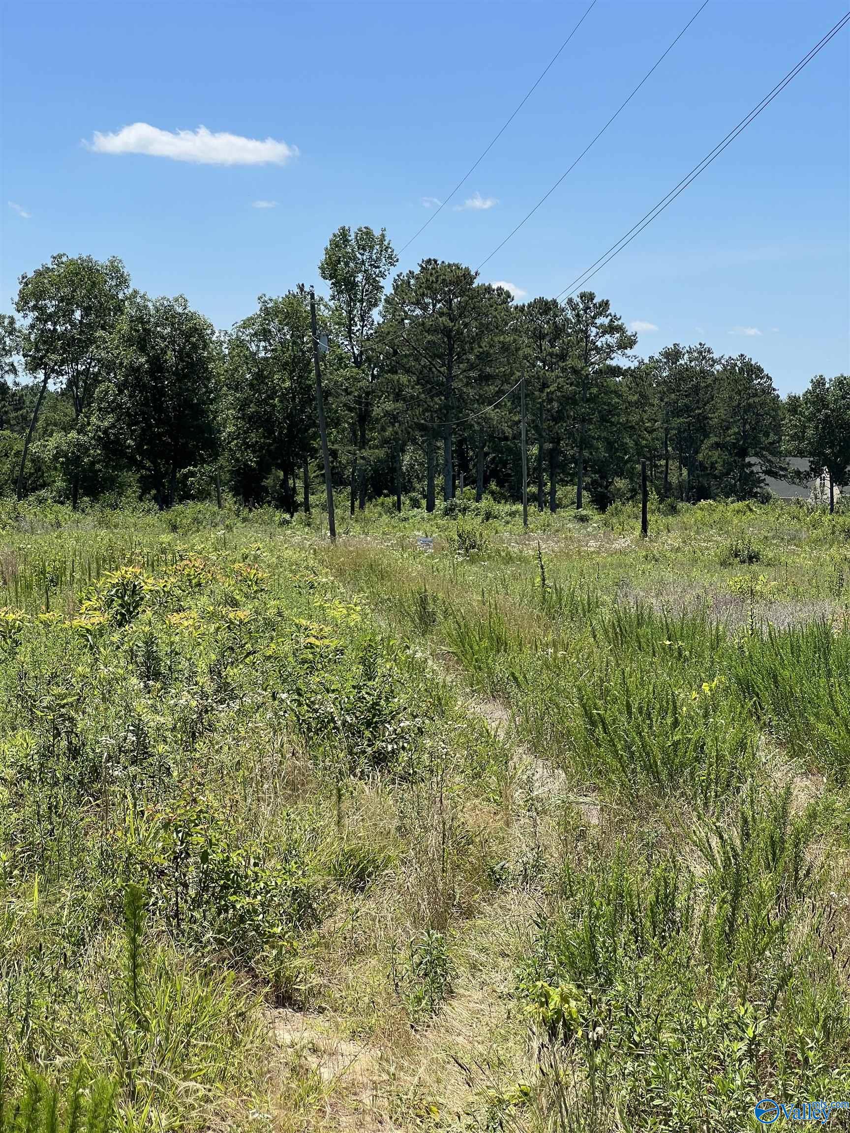 Lot 1 Wrenn Road, Boaz, Alabama image 6