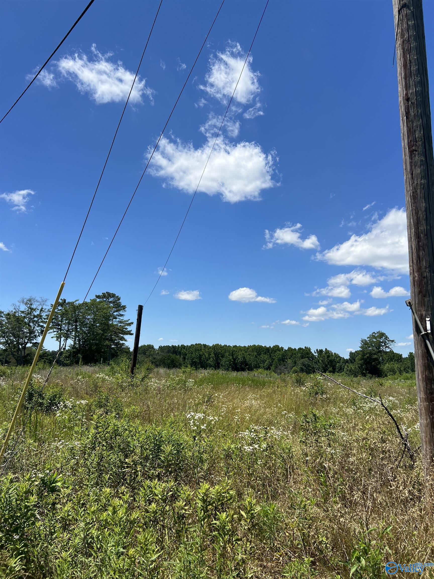 Lot 1 Wrenn Road, Boaz, Alabama image 8