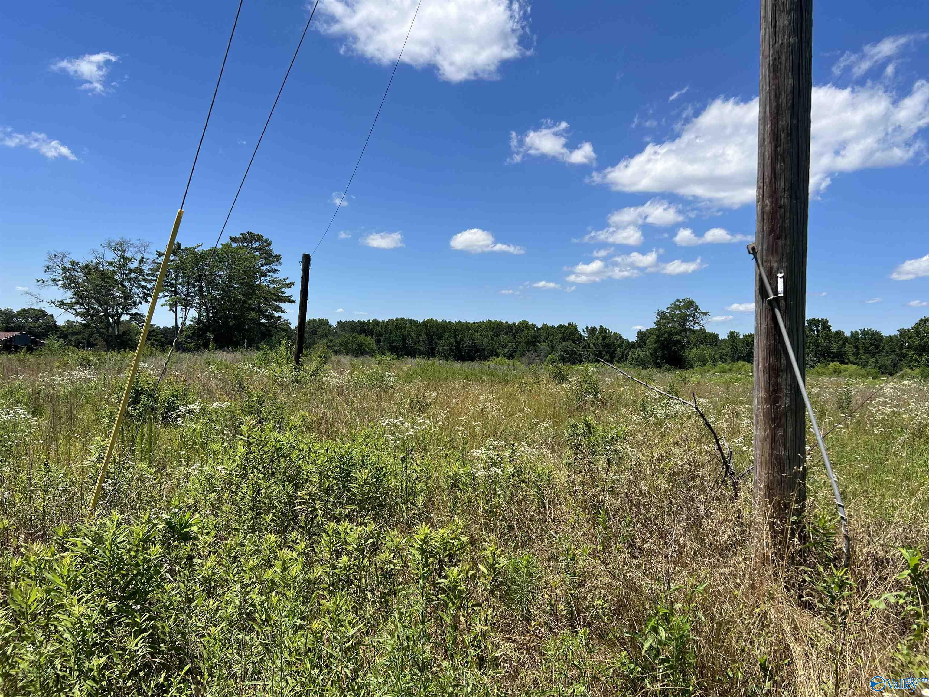 Lot 1 Wrenn Road, Boaz, Alabama image 4