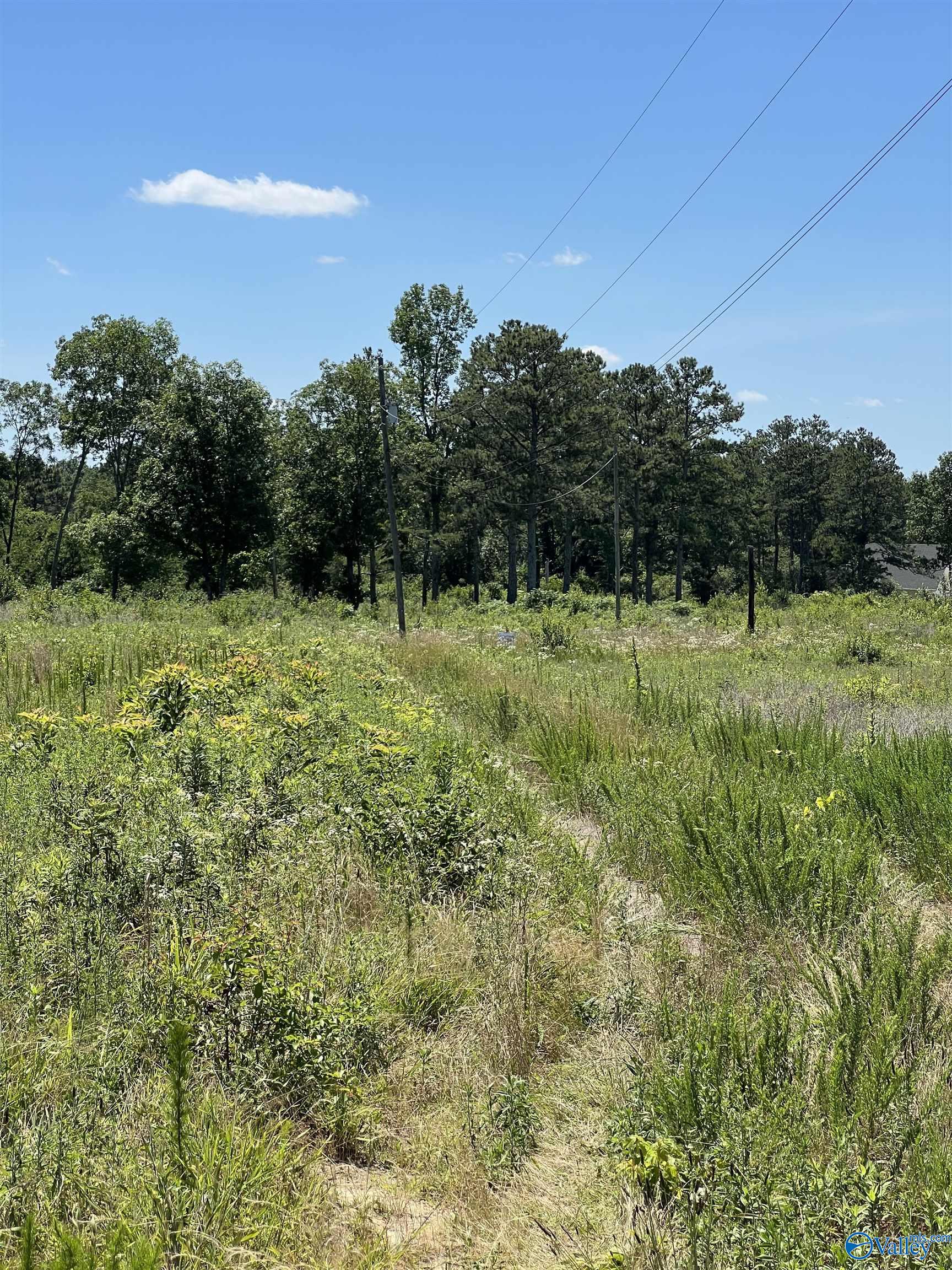 Lot 1 Wrenn Road, Boaz, Alabama image 5