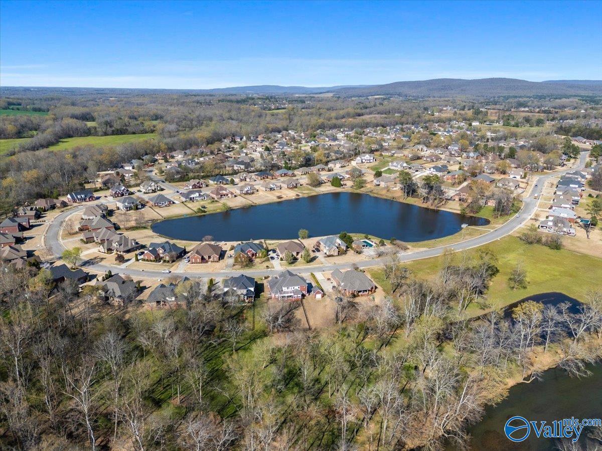 101 Riverway Lane, New Market, Alabama image 47