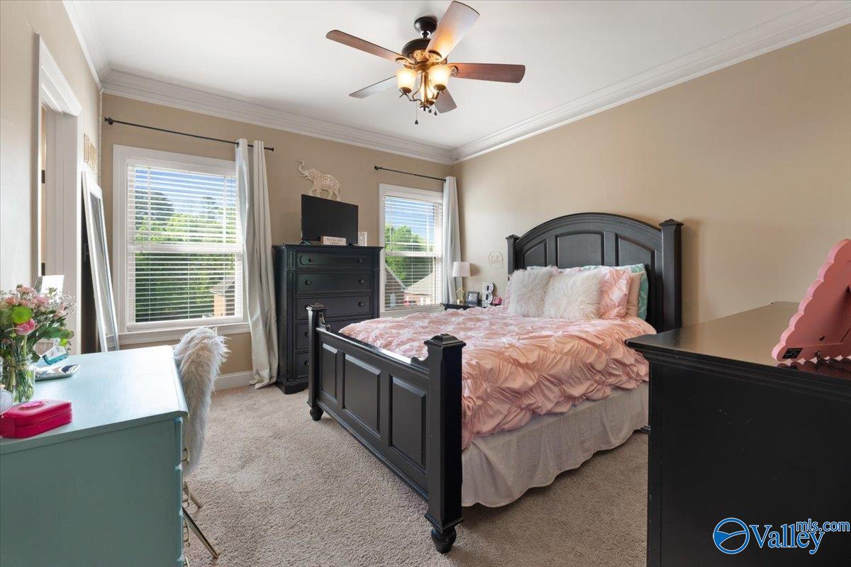 101 Riverway Lane, New Market, Alabama image 31