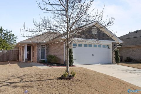 Photo of 179 Brooklawn Drive, Harvest, AL 35749 (MLS # 21909686)