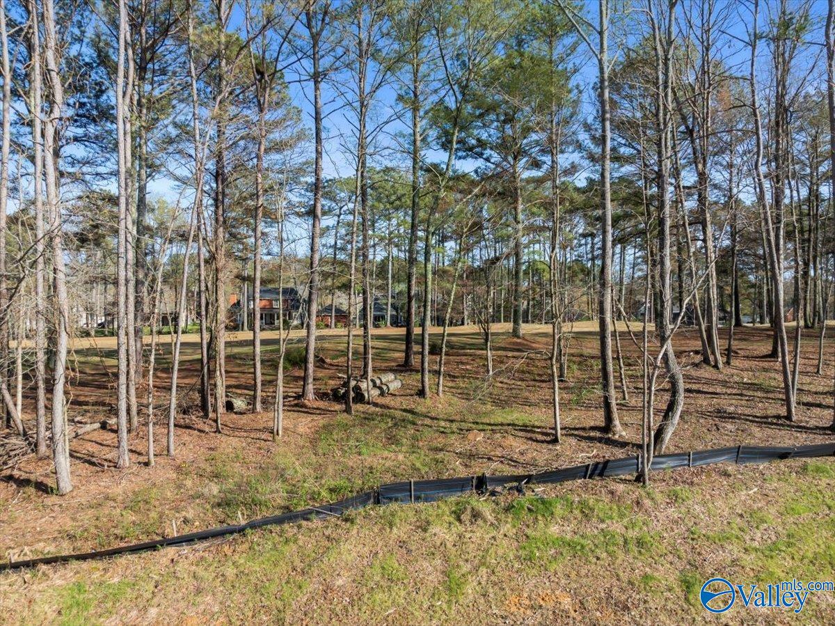 16.4 Ac Highway 278, Hokes Bluff, Alabama image 5