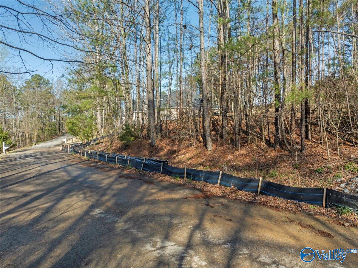 16.4 Ac Highway 278, Hokes Bluff, Alabama image 2