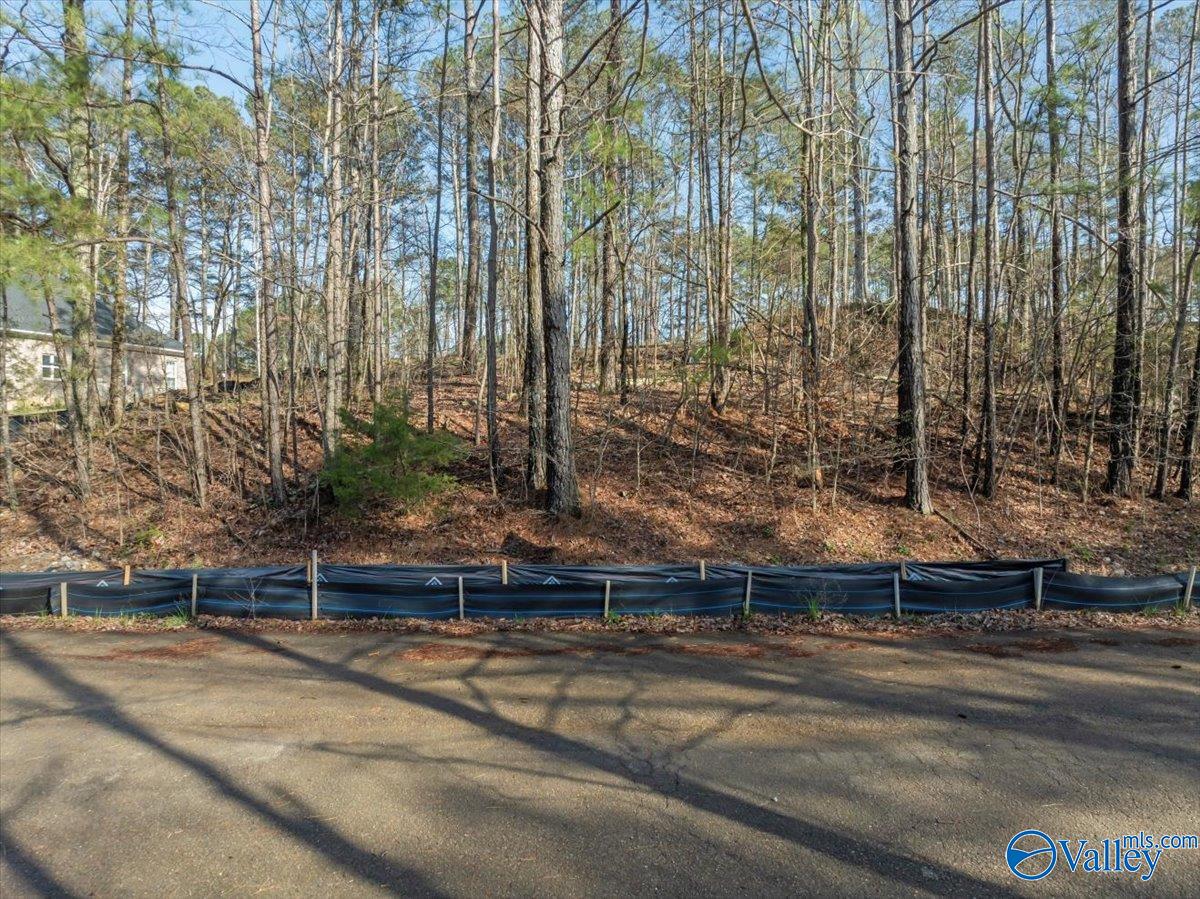 16.4 Ac Highway 278, Hokes Bluff, Alabama image 3