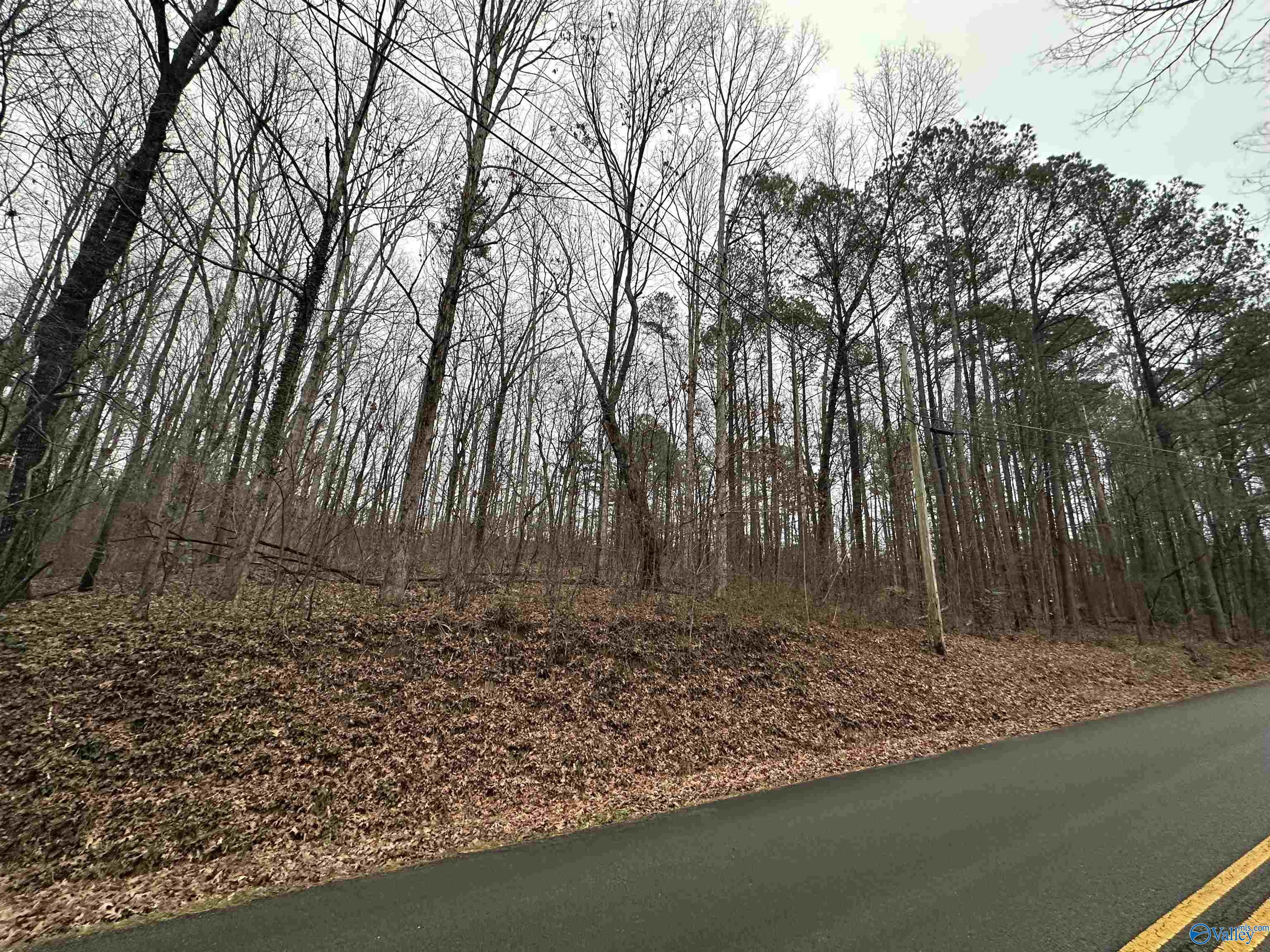 3 Acres Pine Lake Drive, Arab, Alabama image 2