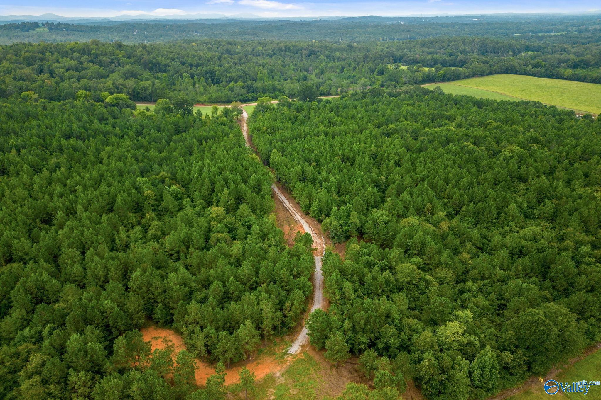 1015 Saint Mary Road