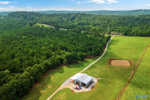 Vacant Land For Sale - 1015 Saint Mary Road<br/> Talladega County, Lincoln, AL 35096