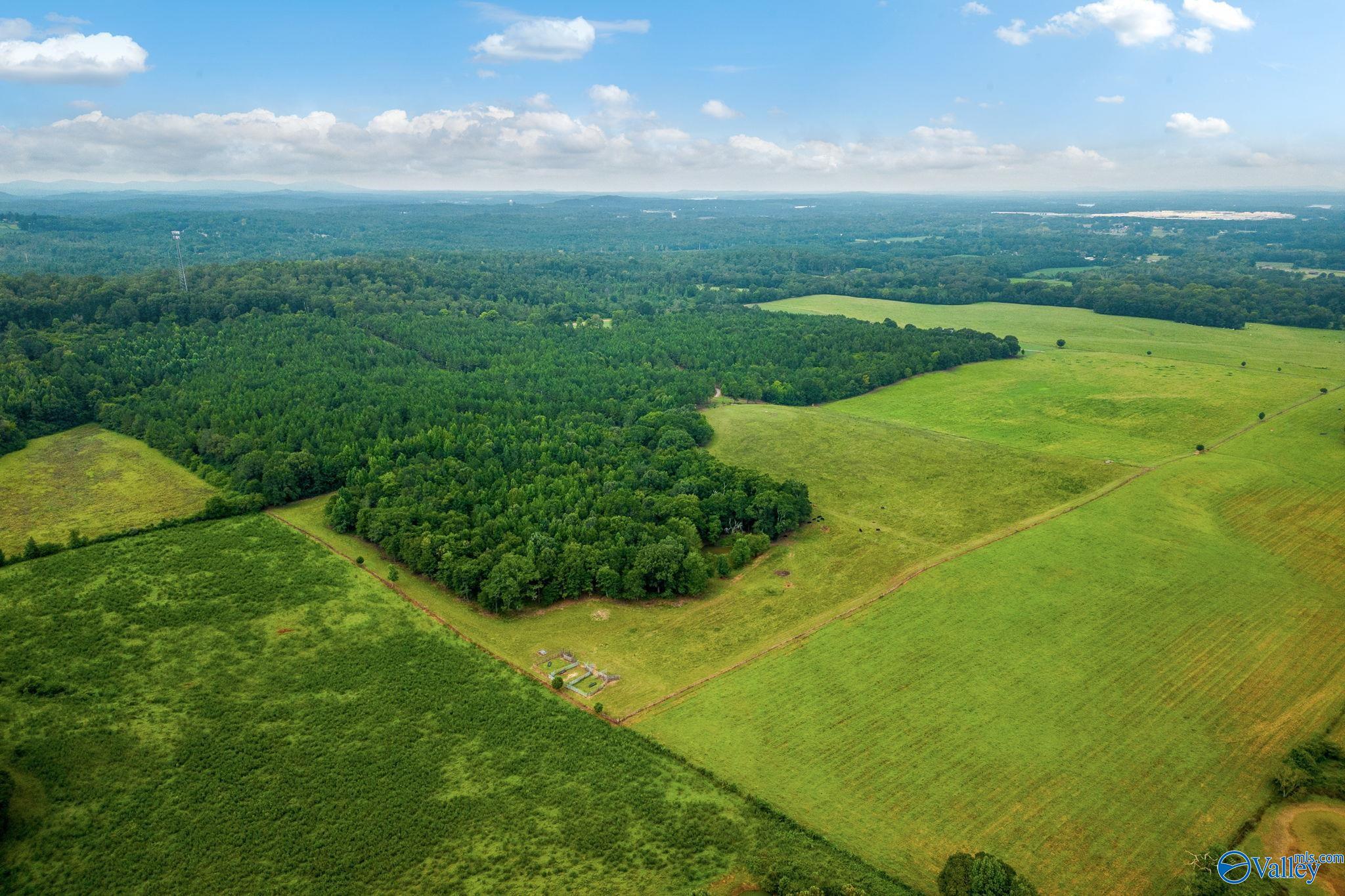 1015 Saint Mary Road