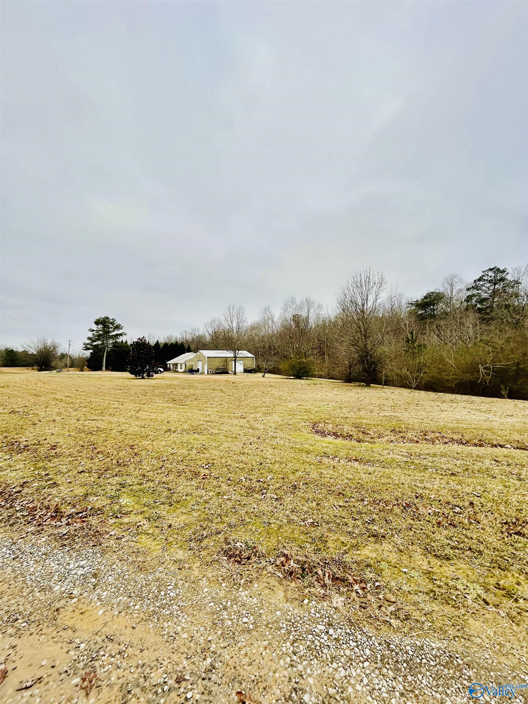 982 County Road 195, Danville, Alabama image 2