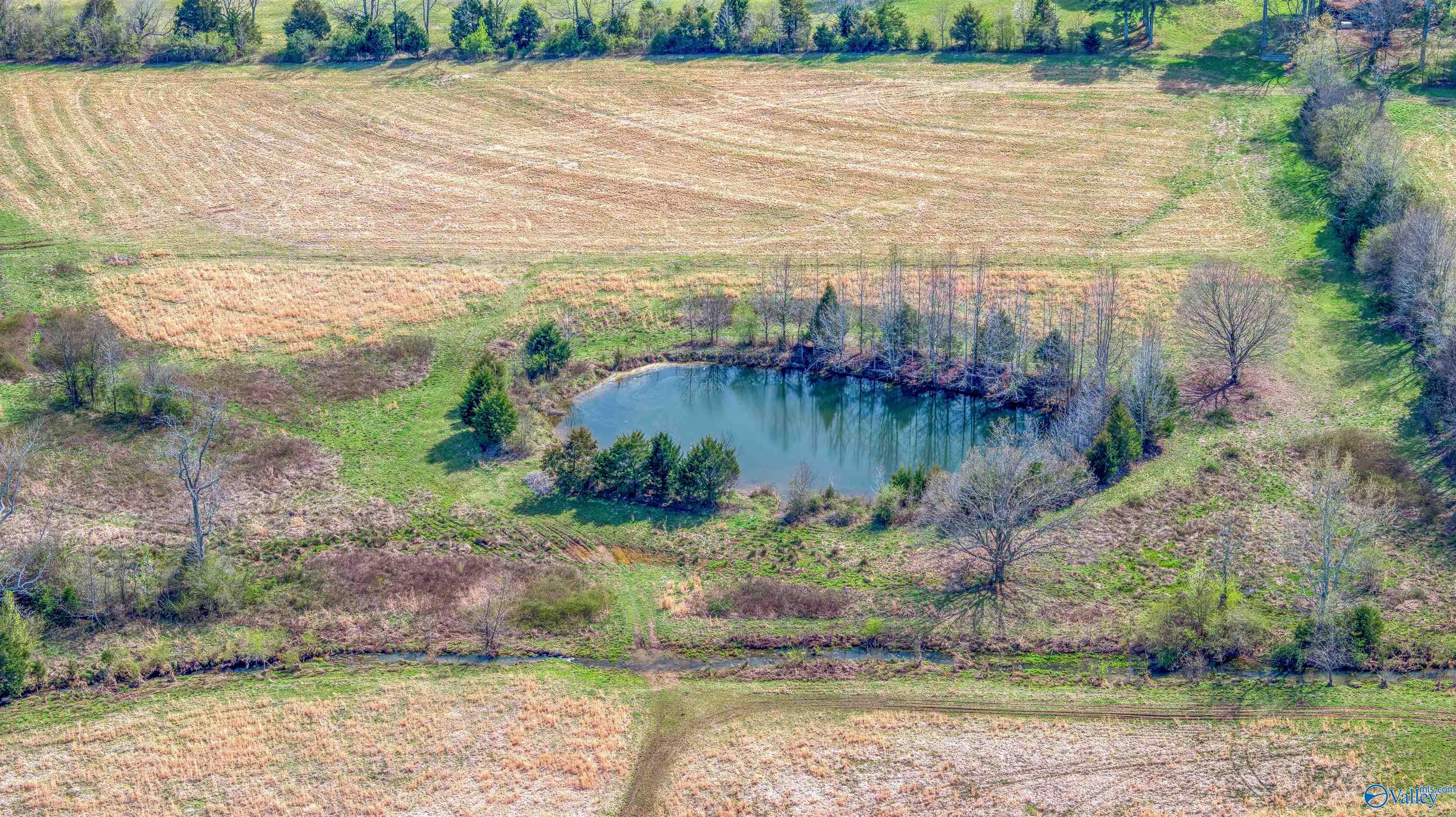 39 Acres County Road 71, Lexington, Alabama image 10