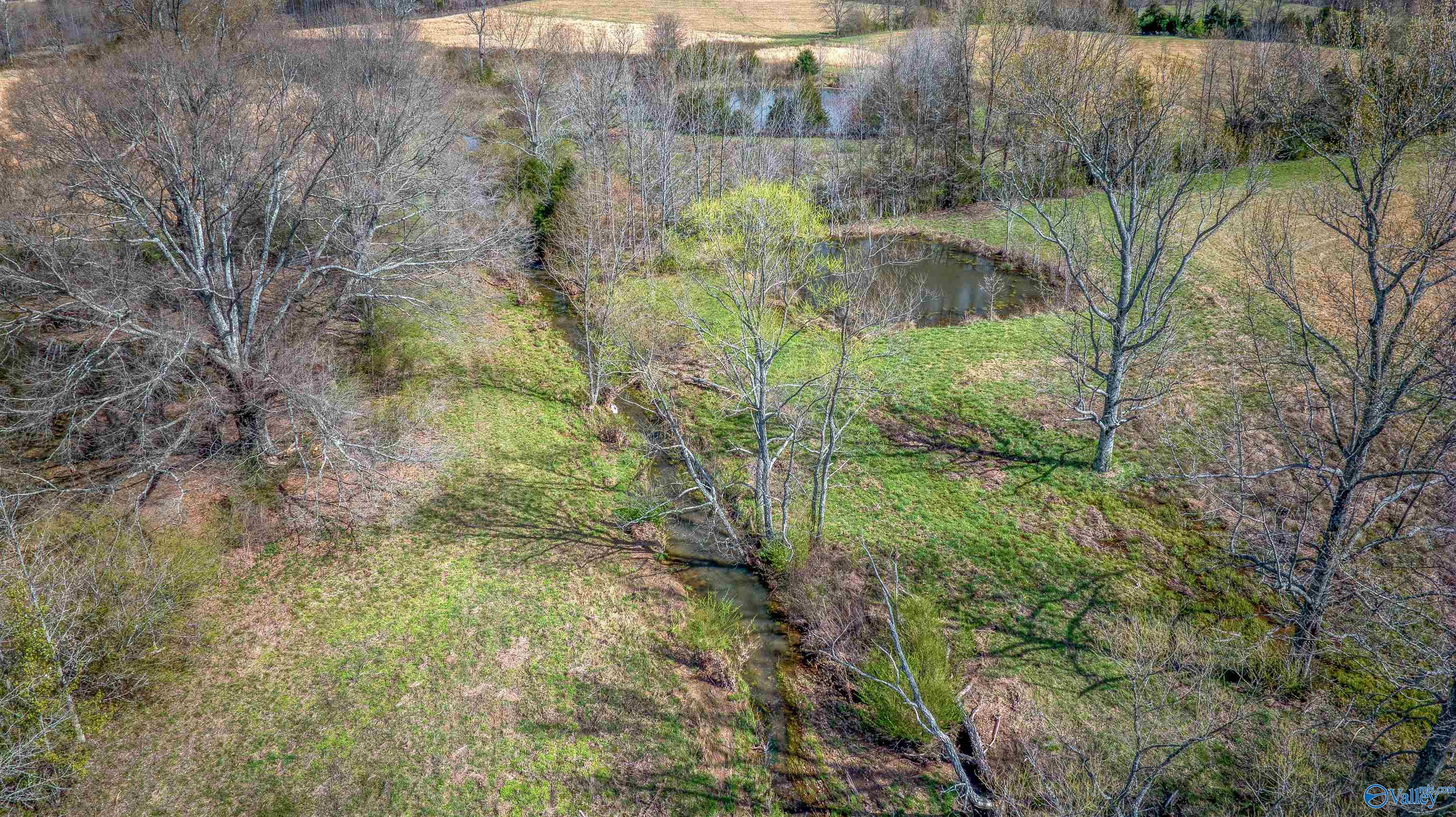 39 Acres County Road 71, Lexington, Alabama image 12
