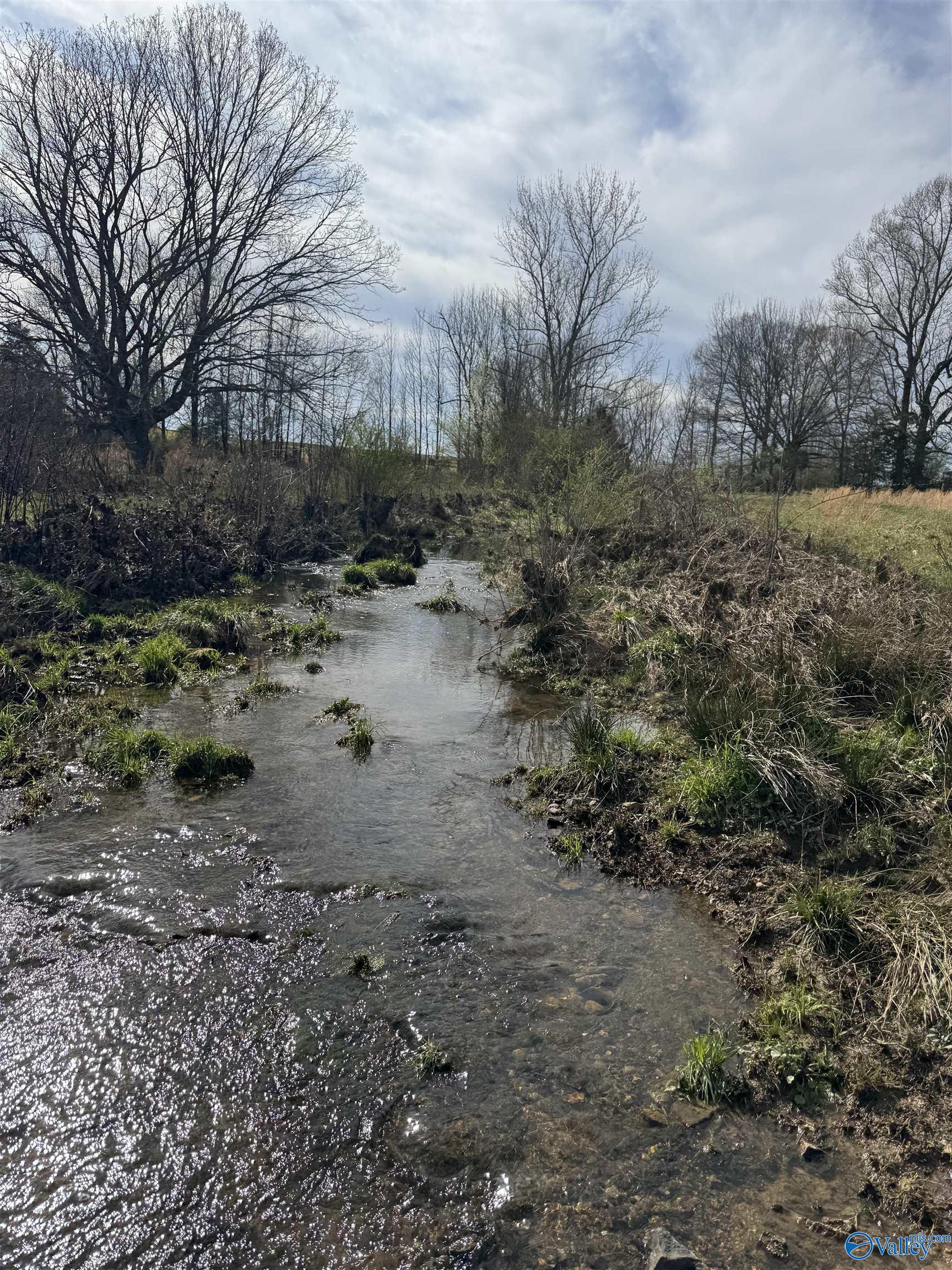 39 Acres County Road 71, Lexington, Alabama image 3