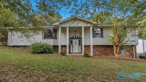 Photo of 122 County Road 985, Fort Payne, AL 35968 (MLS # 21912145)