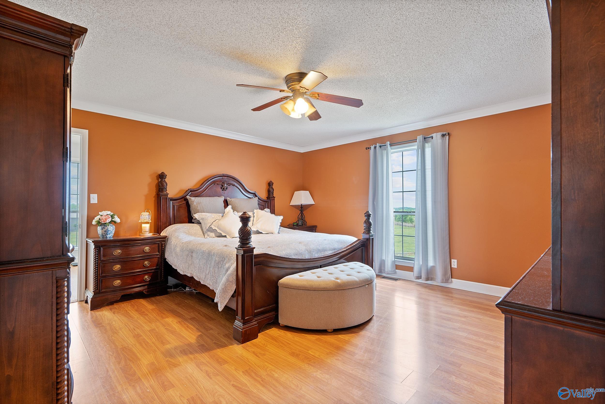 800 Horseshoe Bend Road, Scottsboro, Alabama image 14