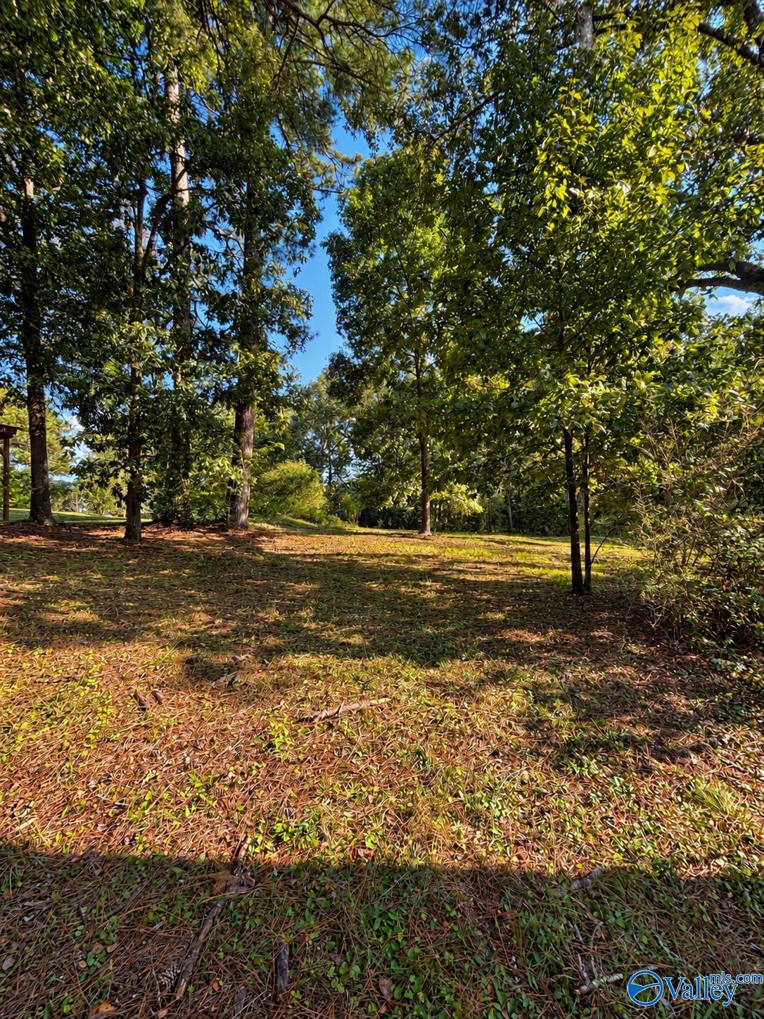 705 Agricola Drive