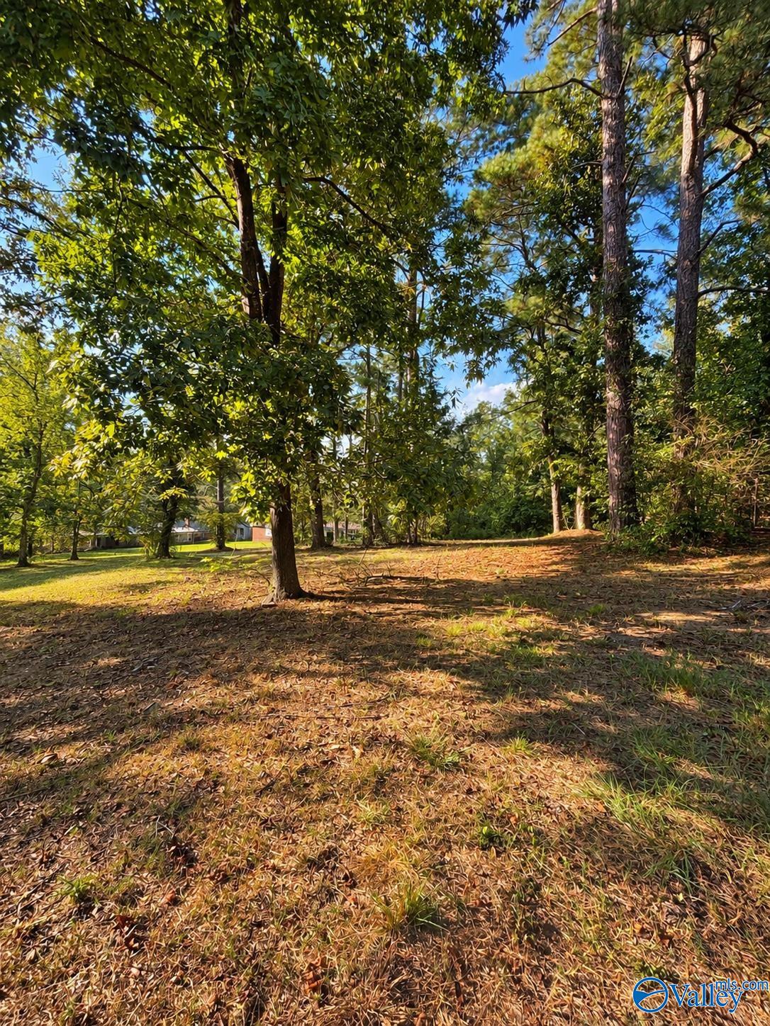 705 Agricola Drive