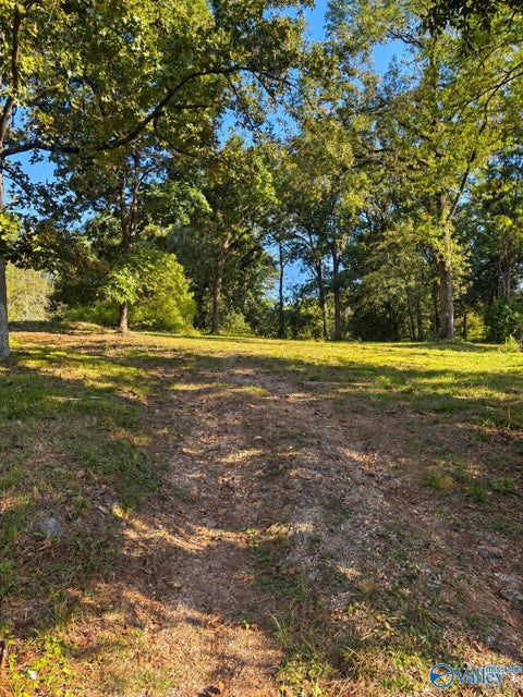 Vacant Land For Sale - 705 Agricola Drive<br/> Gadsden, AL 35904