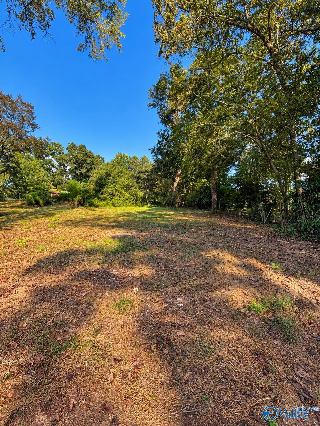 705 Agricola Drive