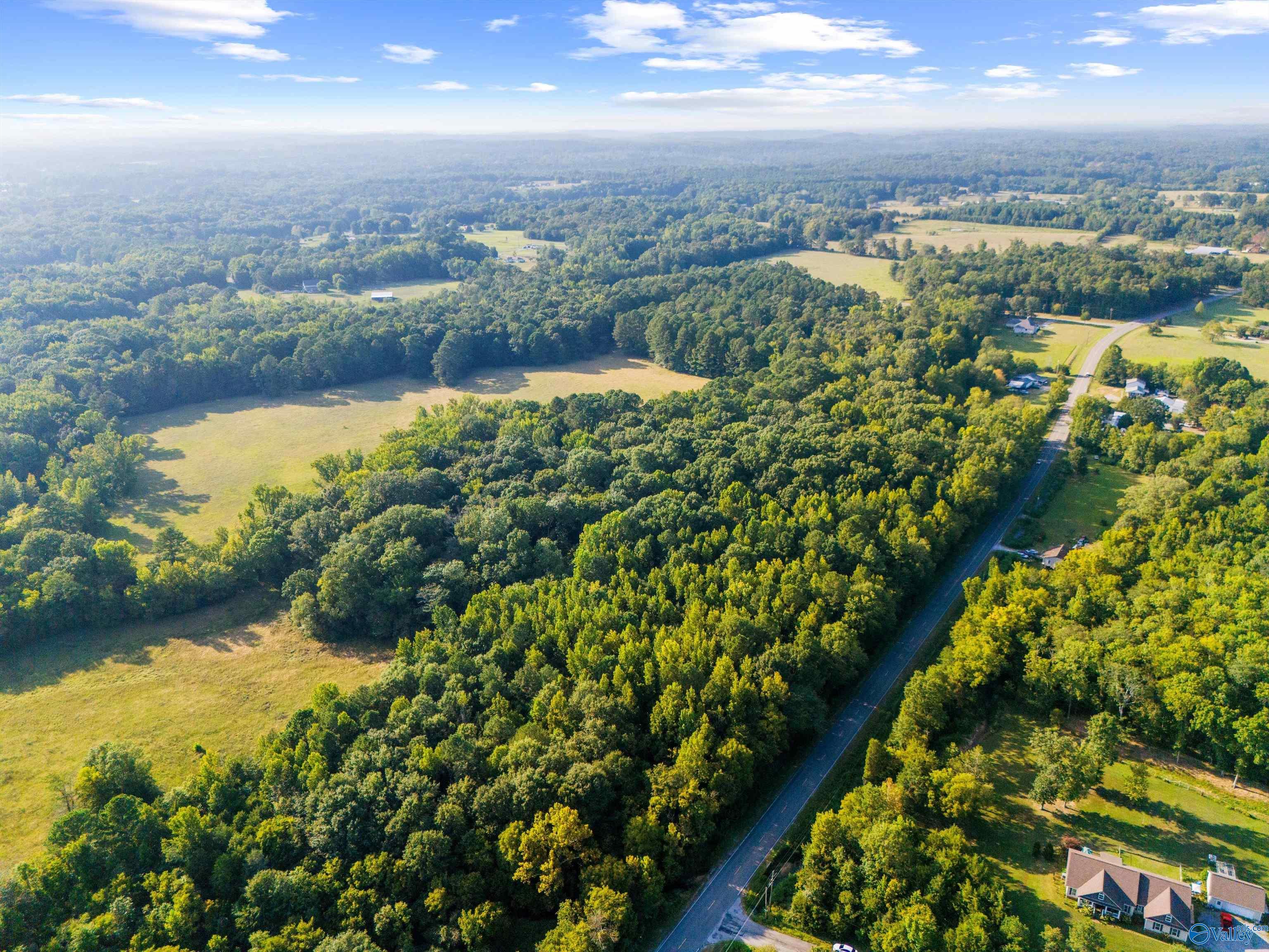 555 Cotaco Florette Road #LOT B, Somerville, Alabama image 2