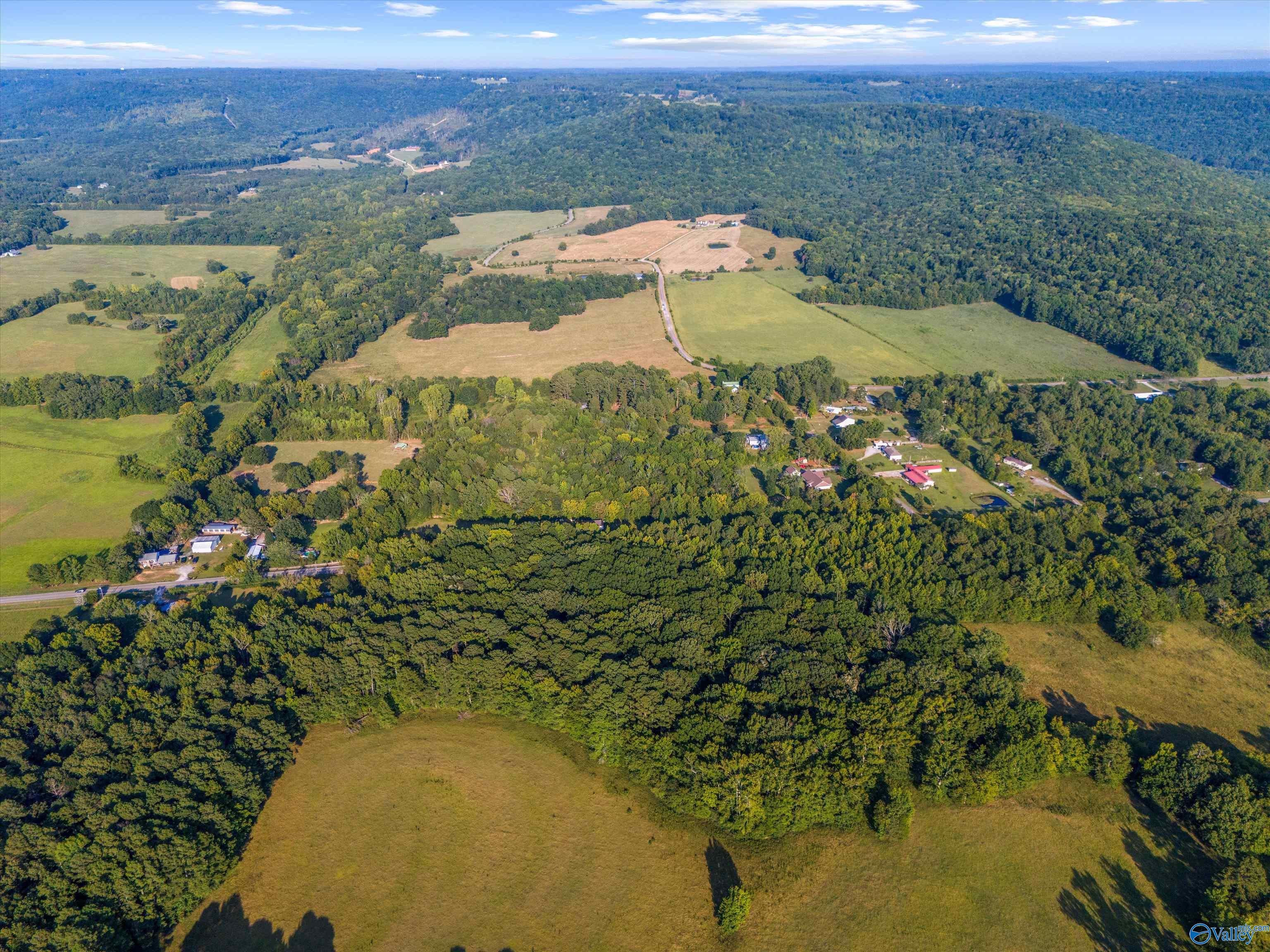 555 Cotaco Florette Road #LOT B, Somerville, Alabama image 9