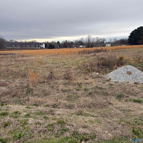 Vacant Land For Sale - .60 Green Road<br/> New Market, AL 35761
