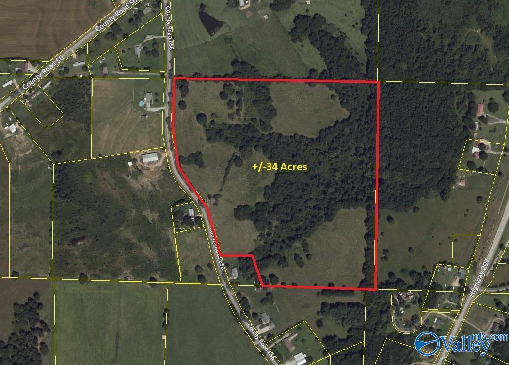 34 Acres County Road 656, Anderson, Alabama image 10