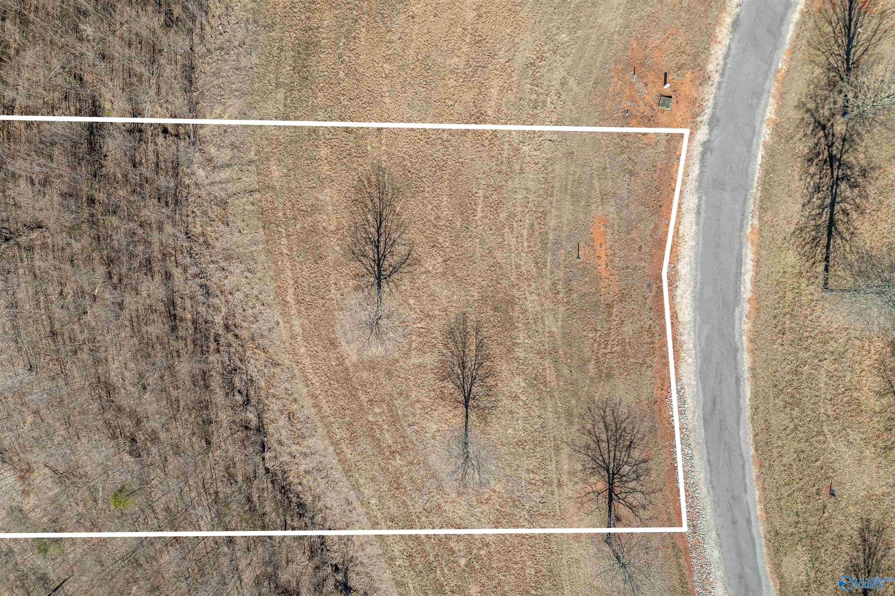 209 County Road 767, Cedar Bluff, Alabama image 5